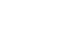 DaPlug-vender-skookum